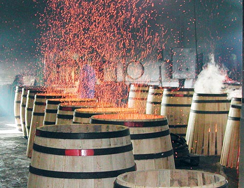 image-01.jpg