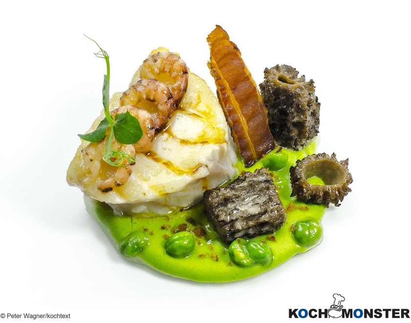 Isländisches Kabeljaufilet mit Nordseekrabben, Erbsenpüree, geröstetem Speck und frischen Morcheln
Foto (c) Peter Wagner/kochtext
(stark reduzierte Bildqualität) Isländisches Kabeljaufilet mit Nordseekrabben, Erbsenpüree, geröstetem Speck und frischen Morcheln