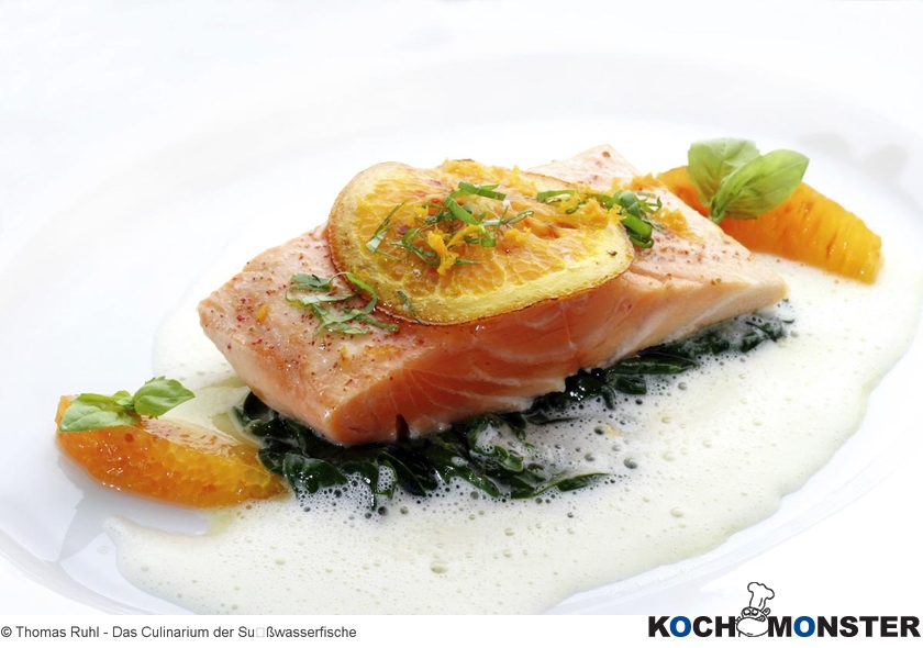 Orangenlachs auf jungem Spinat